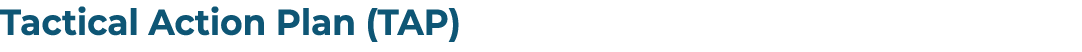 Tactical Action Plan (TAP)