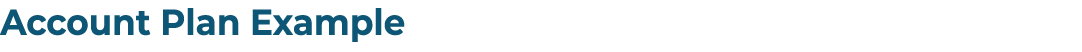 Account Plan Example 
